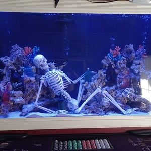 Meet your Posher, Terry